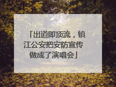 出道即顶流，镇江公安把安防宣传做成了演唱会