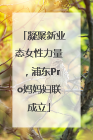 凝聚新业态女性力量，浦东Pro妈妈妇联成立
