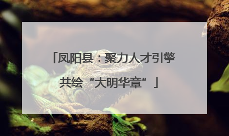 凤阳县：聚力人才引擎 共绘“大明华章”