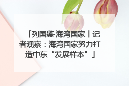列国鉴·海湾国家丨记者观察：海湾国家努力打造中东“发展样本”