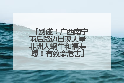 别碰！广西南宁雨后路边出现大量非洲大蜗牛和福寿螺！有致命危害