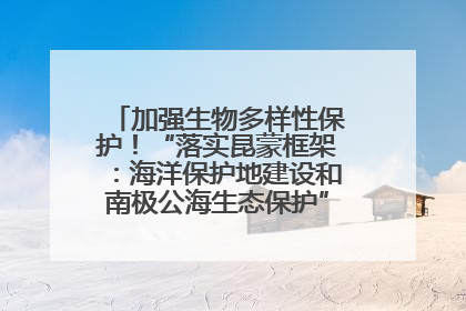 加强生物多样性保护！“落实昆蒙框架：海洋保护地建设和南极公海生态保护”主题论坛将举办