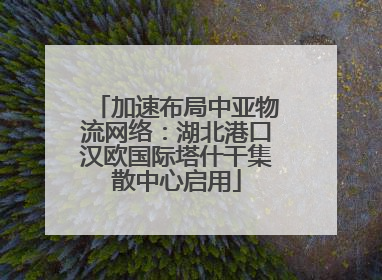 加速布局中亚物流网络：湖北港口汉欧国际塔什干集散中心启用