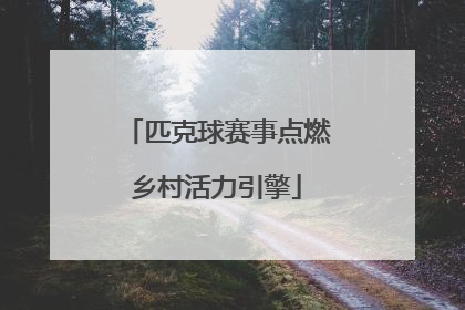 匹克球赛事点燃乡村活力引擎