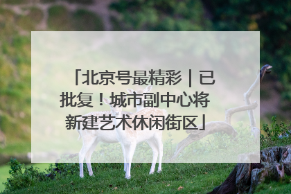 北京号最精彩｜已批复！城市副中心将新建艺术休闲街区