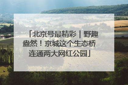 北京号最精彩｜野趣盎然！京城这个生态桥连通两大网红公园
