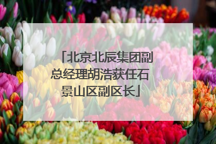 北京北辰集团副总经理胡浩获任石景山区副区长