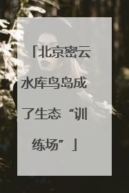 北京密云水库鸟岛成了生态“训练场”