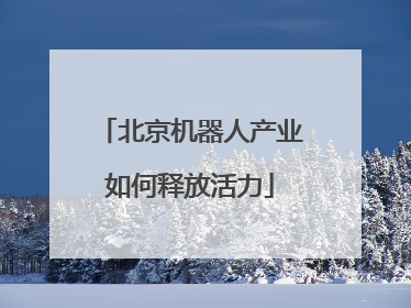 北京机器人产业如何释放活力