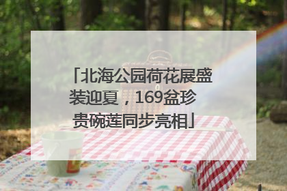 北海公园荷花展盛装迎夏，169盆珍贵碗莲同步亮相