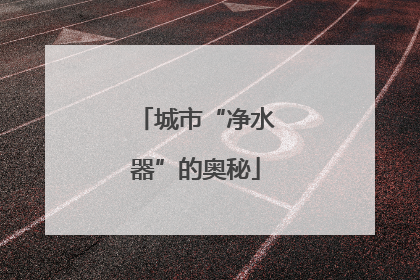 城市“净水器”的奥秘