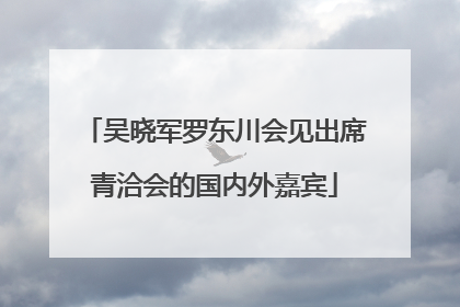 吴晓军罗东川会见出席青洽会的国内外嘉宾