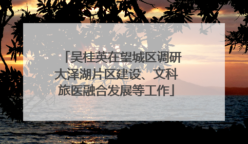 吴桂英在望城区调研大泽湖片区建设、文科旅医融合发展等工作