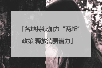 各地持续加力“两新”政策 释放消费潜力