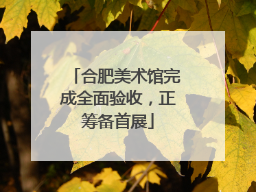 合肥美术馆完成全面验收，正筹备首展