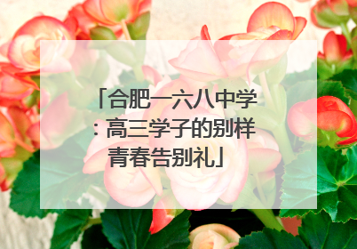 合肥一六八中学：高三学子的别样青春告别礼