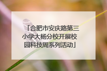 合肥市安庆路第三小学大杨分校开展校园科技周系列活动