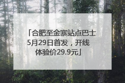 合肥至金寨站点巴士5月29日首发，开线体验价29.9元