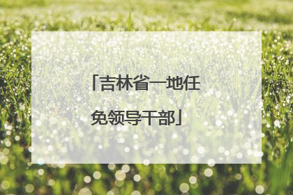 吉林省一地任免领导干部