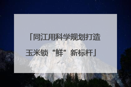同江用科学规划打造玉米锁“鲜”新标杆