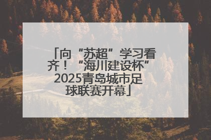 向“苏超”学习看齐！“海川建设杯”2025青岛城市足球联赛开幕