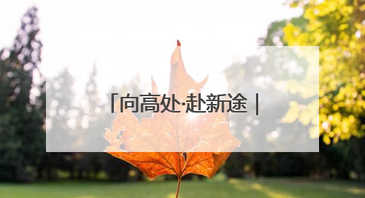 向高处·赴新途｜高途宣布成为中国国家游泳队、中国国家花样游泳队官方学习合作伙伴