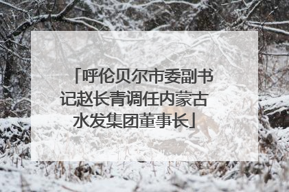 呼伦贝尔市委副书记赵长青调任内蒙古水发集团董事长