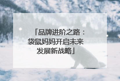品牌进阶之路：袋鼠妈妈开启未来发展新战略