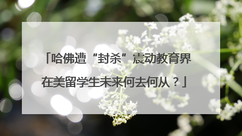哈佛遭“封杀”震动教育界 在美留学生未来何去何从？