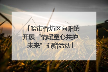 哈市香坊区向阳镇开展“情暖童心共护未来”捐赠活动