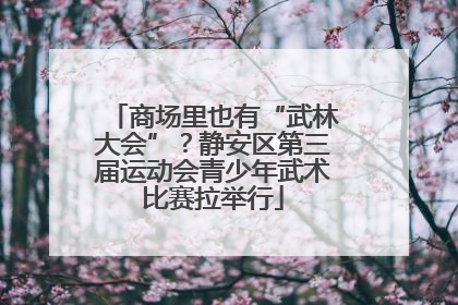 商场里也有“武林大会”？静安区第三届运动会青少年武术比赛拉举行