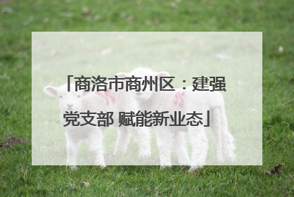 商洛市商州区：建强党支部 赋能新业态