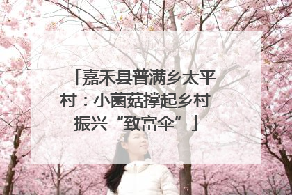 嘉禾县普满乡太平村：小菌菇撑起乡村振兴“致富伞”