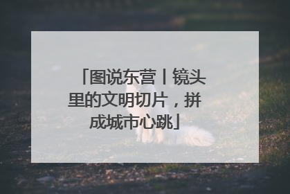 图说东营丨镜头里的文明切片，拼成城市心跳