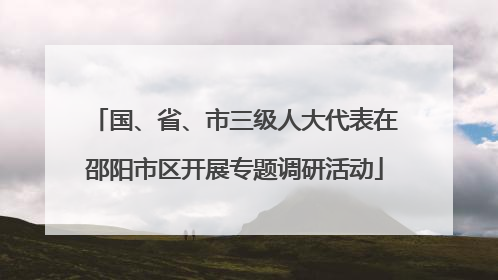 国、省、市三级人大代表在邵阳市区开展专题调研活动