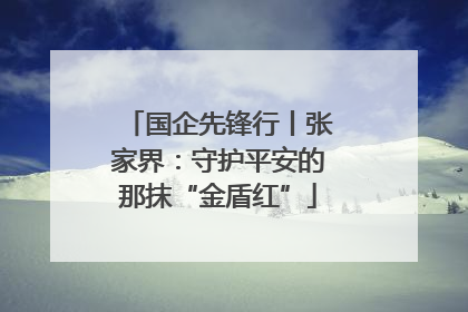 国企先锋行丨张家界：守护平安的那抹“金盾红”