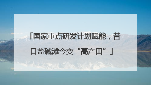 国家重点研发计划赋能，昔日盐碱滩今变“高产田”