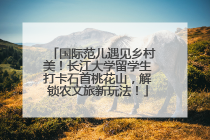 国际范儿遇见乡村美！长江大学留学生打卡石首桃花山，解锁农文旅新玩法！