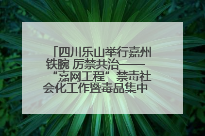 四川乐山举行嘉州铁腕 厉禁共治——“嘉网工程”禁毒社会化工作暨毒品集中销毁启动仪式