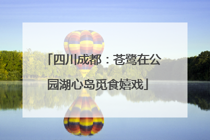 四川成都：苍鹭在公园湖心岛觅食嬉戏