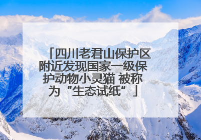四川老君山保护区附近发现国家一级保护动物小灵猫 被称为“生态试纸”