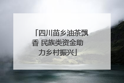 四川苗乡油茶飘香 民族类资金助力乡村振兴