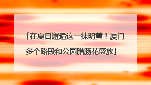 在夏日邂逅这一抹明黄！厦门多个路段和公园腊肠花盛放