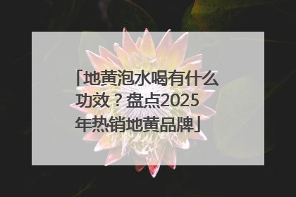 地黄泡水喝有什么功效？盘点2025年热销地黄品牌