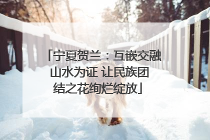 宁夏贺兰：互嵌交融 山水为证 让民族团结之花绚烂绽放