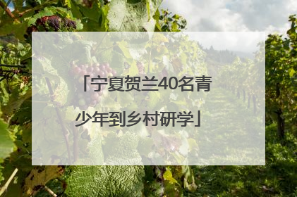 宁夏贺兰40名青少年到乡村研学