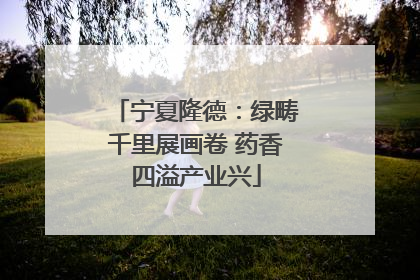 宁夏隆德：绿畴千里展画卷 药香四溢产业兴