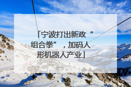 宁波打出新政“组合拳”，加码人形机器人产业