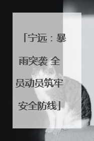 宁远：暴雨突袭 全员动员筑牢安全防线