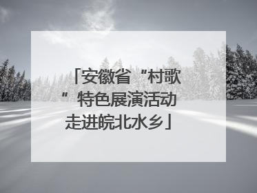 安徽省“村歌”特色展演活动走进皖北水乡